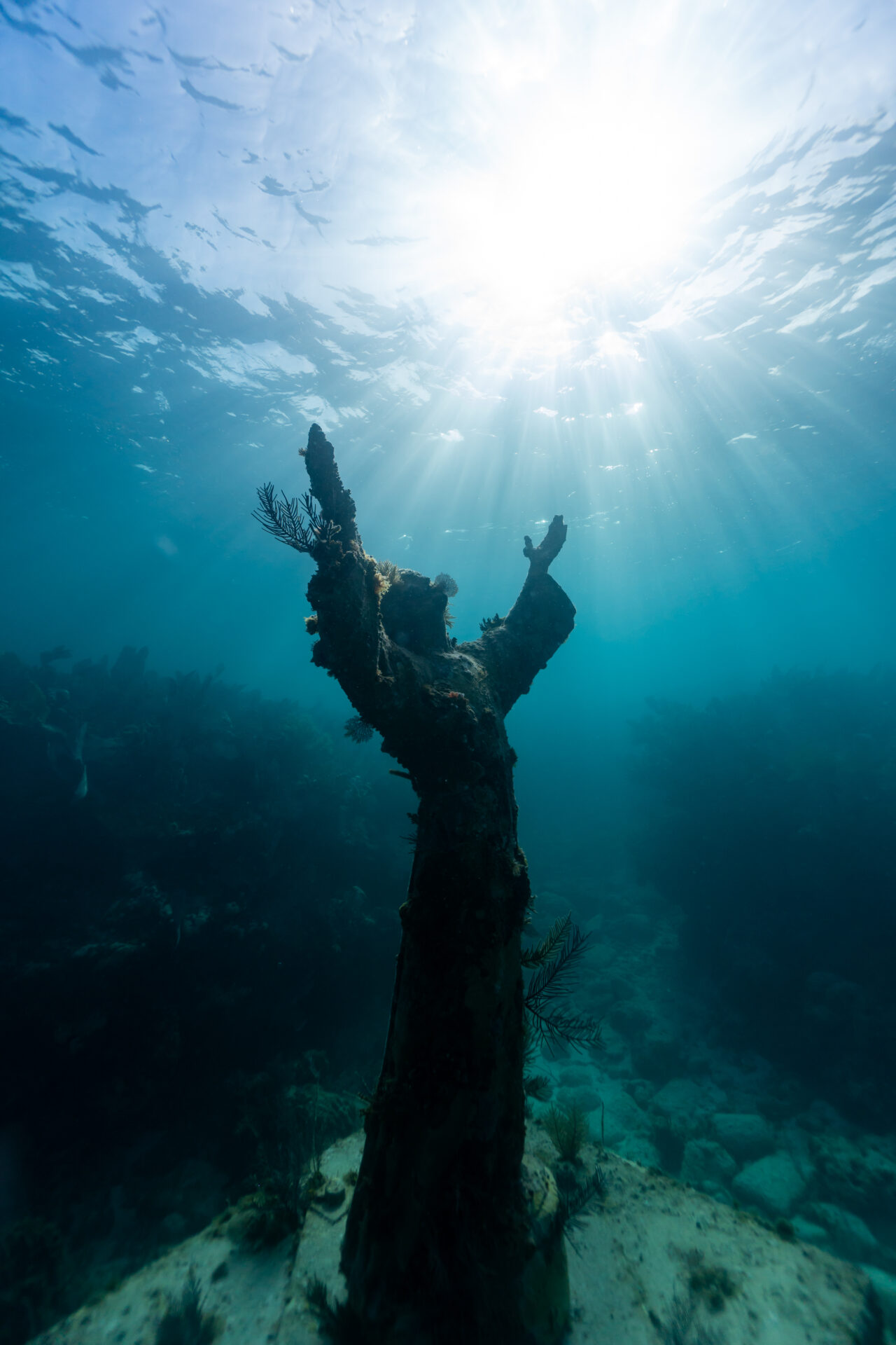 Christ of the Abyss statue in John Pennekamp State Park in the Florida Keys. A Great Photography location!